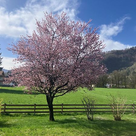 Open Garden Mountain Lodge Oberaudorf Exterior photo